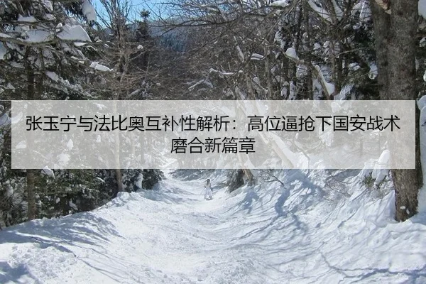 张玉宁与法比奥互补性解析：高位逼抢下国安战术磨合新篇章